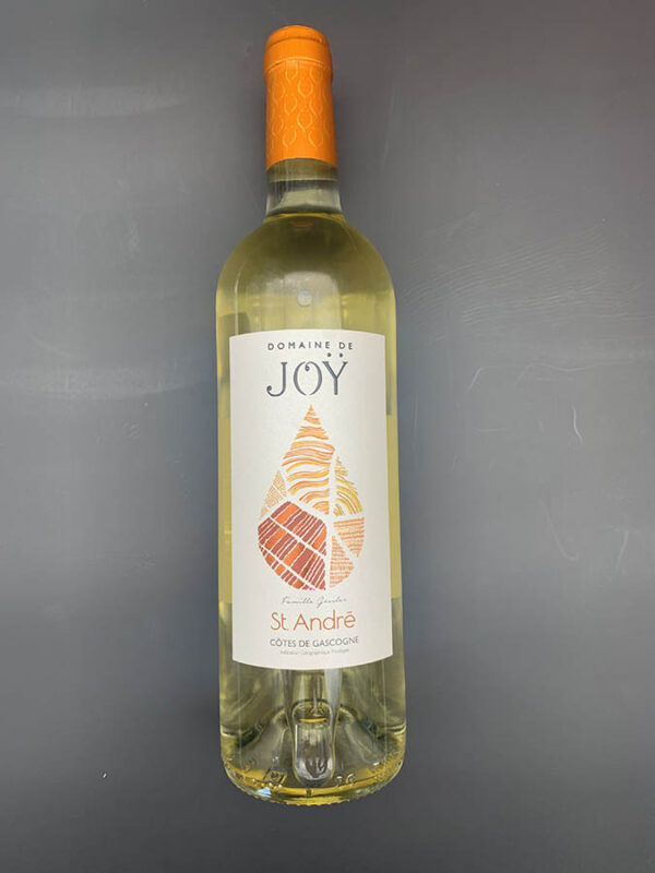 Bouteille de vin blanc Côtes de Gascogne - Domaine de Joy 2020-75cl-Famille Gomer